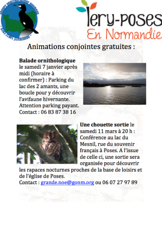 Animation_Base_de_loisirs.png