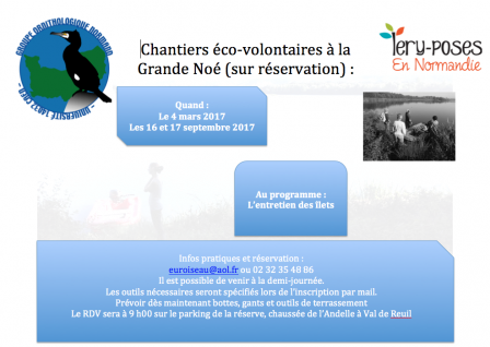 Chantier.png